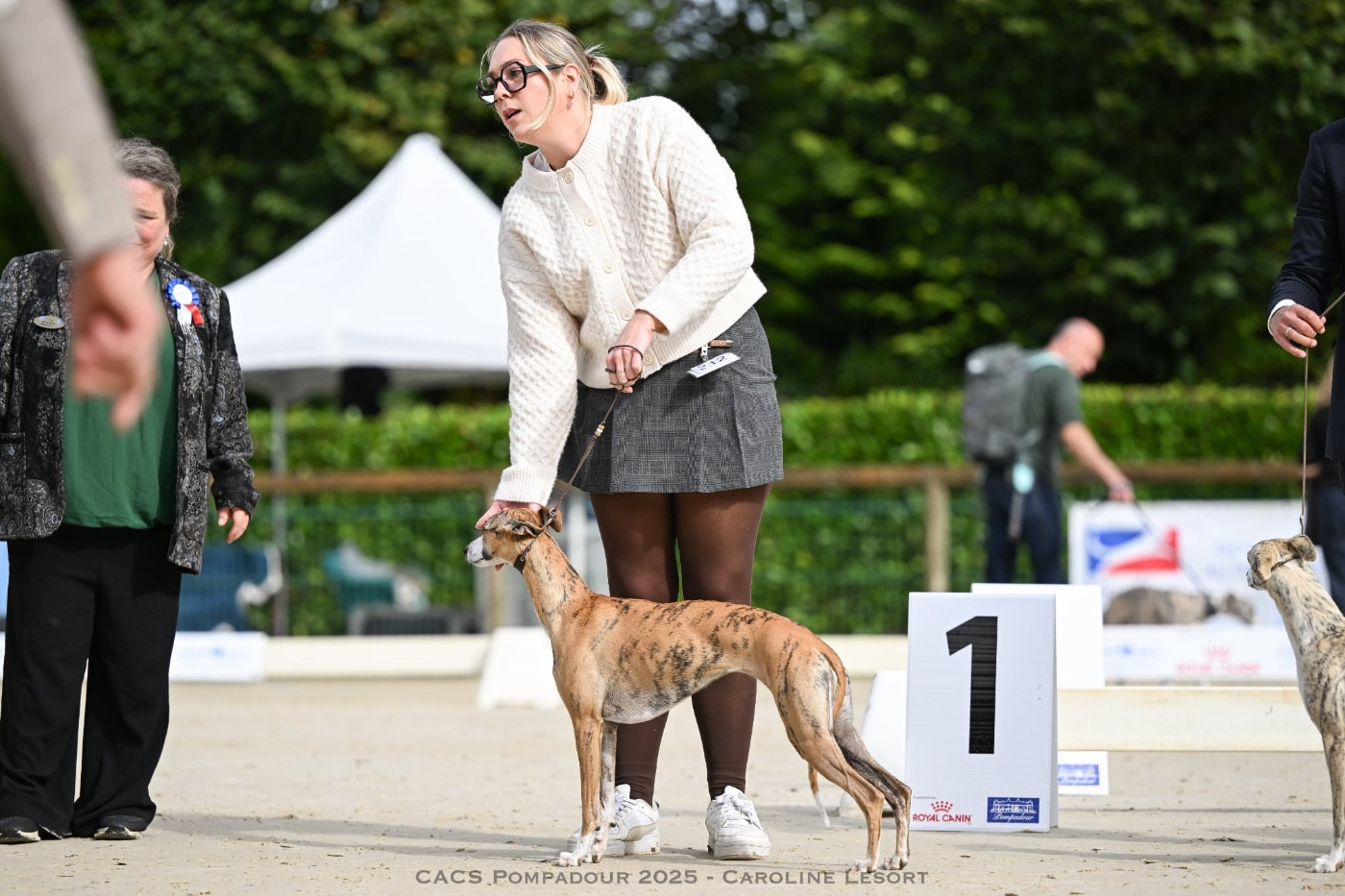 Fast And Fancy Virtuous Spaghetti